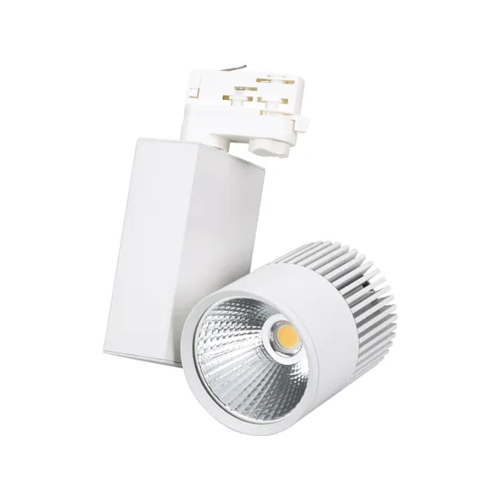 Фото #1 товара Светодиодный светильник LGD-2271WH-30W-4TR White 24deg (Arlight, IP20 Металл, 3 года)