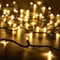 Минифото #1 товара Светодиодная гирлянда ARD-STRING-PRO-10000-GREEN-100LED-FLASH WARM (230V, 7W) (Ardecoled, IP65)